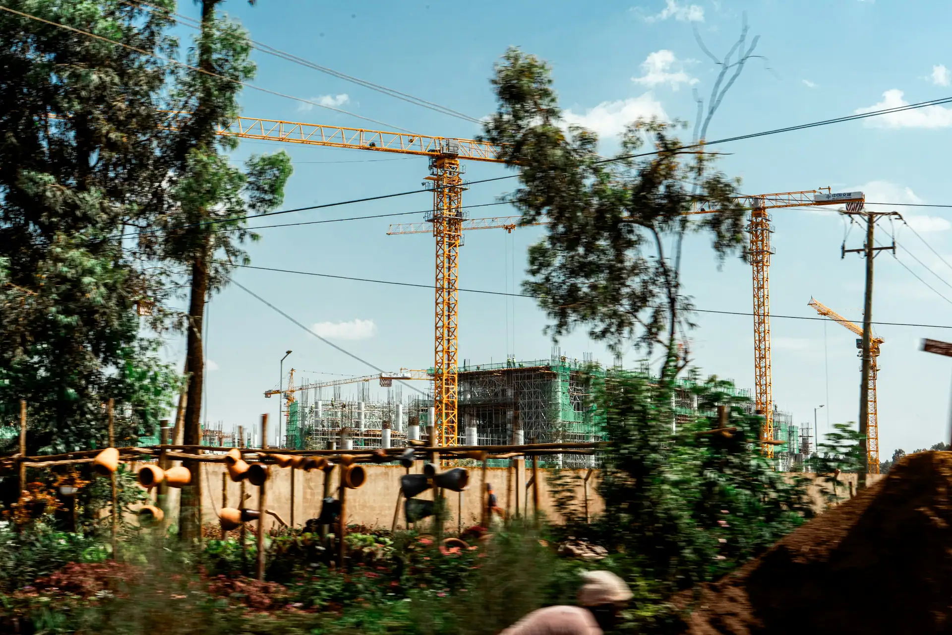 Tower cranes over a stadium under construction, seen past trees